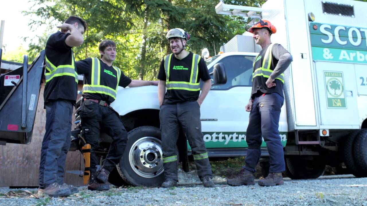 Arborist Consultations-Lake Worth Tree Trimming and Tree Removal Services-We Offer Tree Trimming Services, Tree Removal, Tree Pruning, Tree Cutting, Residential and Commercial Tree Trimming Services, Storm Damage, Emergency Tree Removal, Land Clearing, Tree Companies, Tree Care Service, Stump Grinding, and we're the Best Tree Trimming Company Near You Guaranteed!