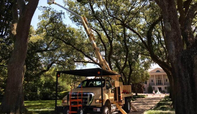 Commercial Tree Service-Lake Worth Tree Trimming and Tree Removal Services-We Offer Tree Trimming Services, Tree Removal, Tree Pruning, Tree Cutting, Residential and Commercial Tree Trimming Services, Storm Damage, Emergency Tree Removal, Land Clearing, Tree Companies, Tree Care Service, Stump Grinding, and we're the Best Tree Trimming Company Near You Guaranteed!