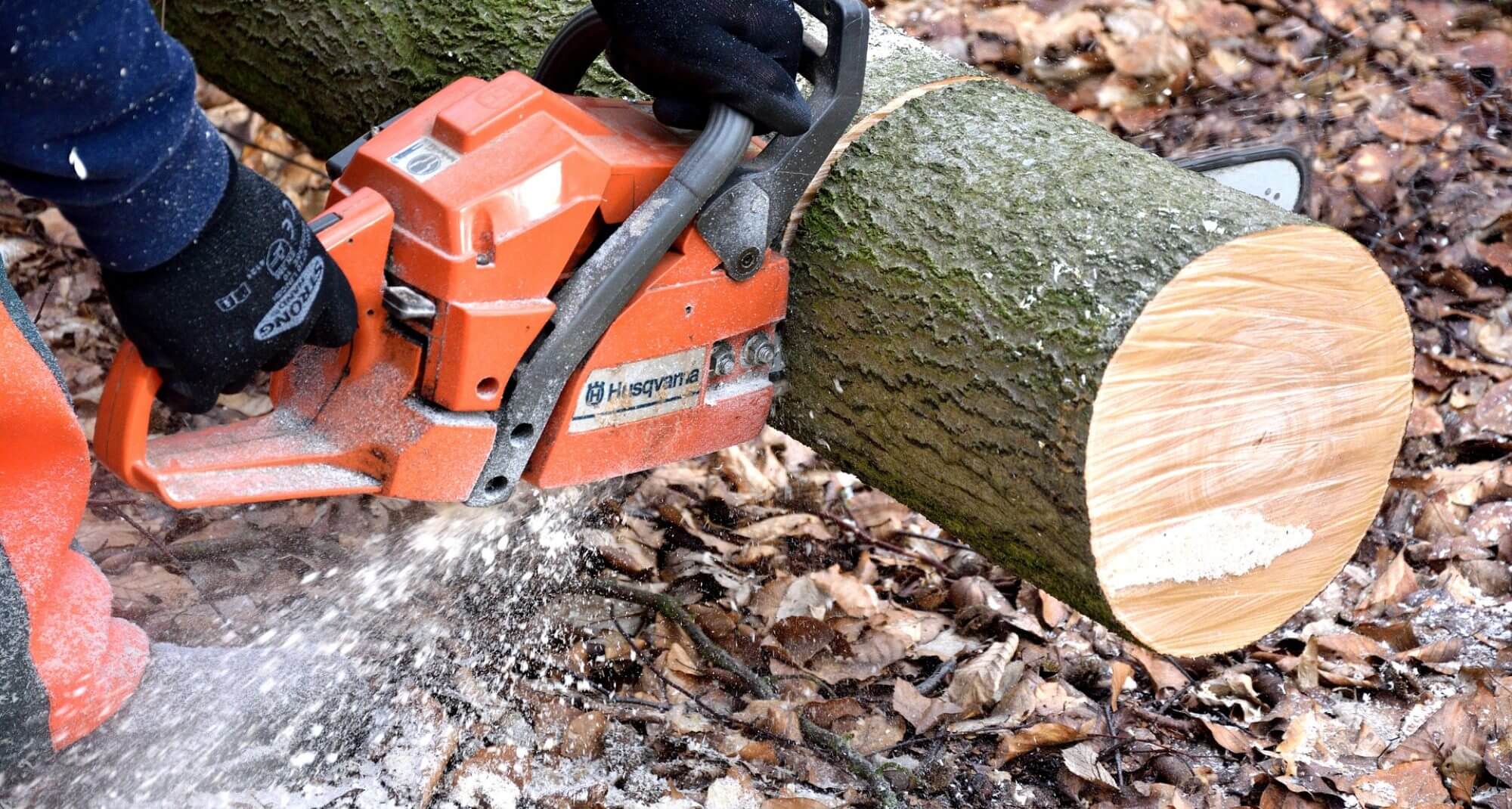 Lake Worth Tree Trimming and Tree Removal Services Main Header-We Offer Tree Trimming Services, Tree Removal, Tree Pruning, Tree Cutting, Residential and Commercial Tree Trimming Services, Storm Damage, Emergency Tree Removal, Land Clearing, Tree Companies, Tree Care Service, Stump Grinding, and we're the Best Tree Trimming Company Near You Guaranteed!