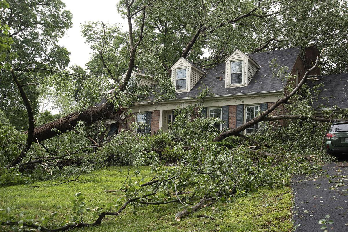 Storm Damage-Lake Worth Tree Trimming and Tree Removal Services-We Offer Tree Trimming Services, Tree Removal, Tree Pruning, Tree Cutting, Residential and Commercial Tree Trimming Services, Storm Damage, Emergency Tree Removal, Land Clearing, Tree Companies, Tree Care Service, Stump Grinding, and we're the Best Tree Trimming Company Near You Guaranteed!
