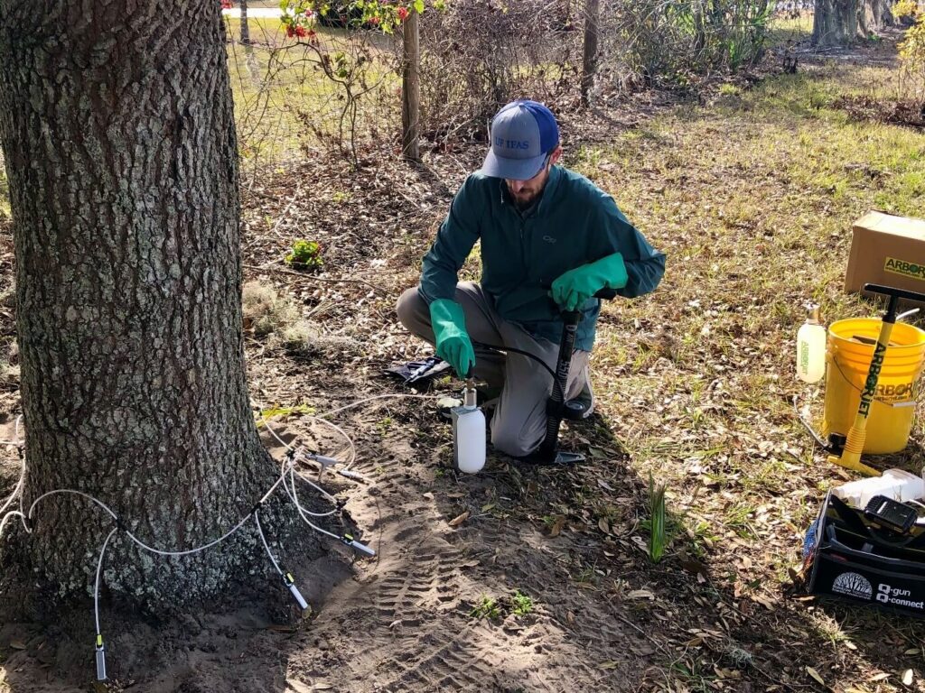 Deep Root Injection Affordable-Pro Tree Trimming & Removal Team of Lake Worth
