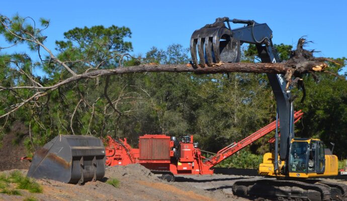 Lake Worth Land Clearing-Pro Tree Trimming & Removal Team of Lake Worth