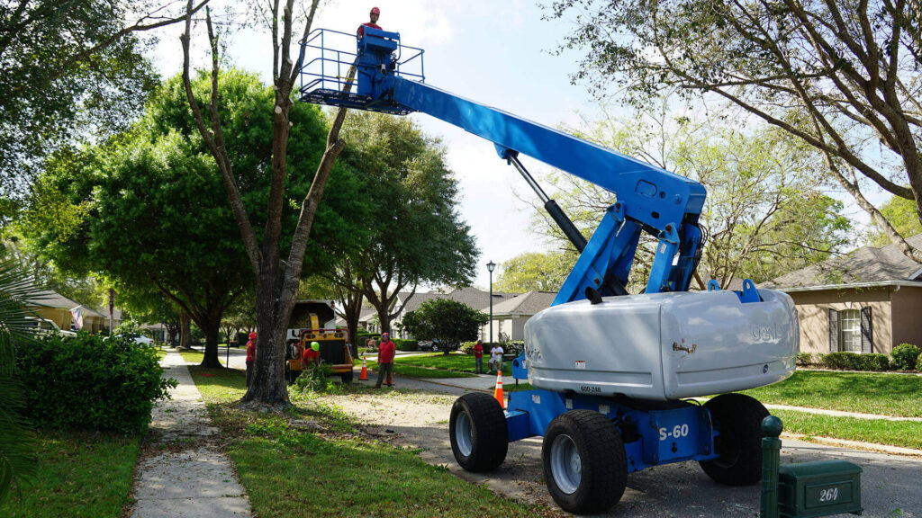 Lake Worth Residential Tree Services-Pro Tree Trimming & Removal Team of Lake Worth
