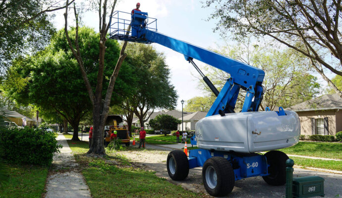 Lake Worth Residential Tree Services-Pro Tree Trimming & Removal Team of Lake Worth