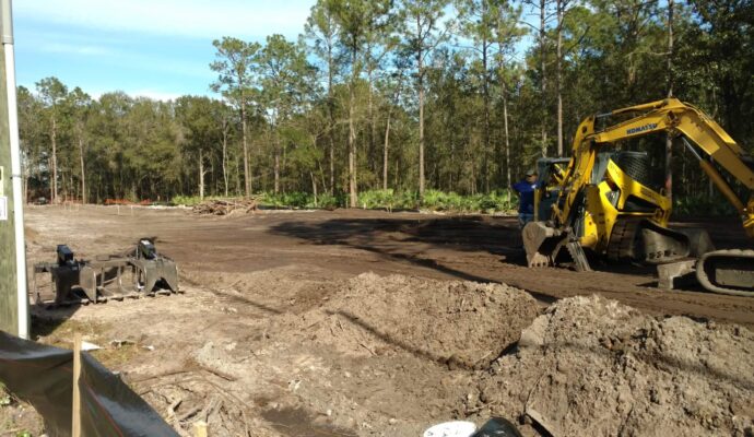 Land Clearing Affordable-Pro Tree Trimming & Removal Team of Lake Worth