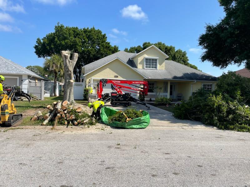 Residential Tree Services Lake Worth-Pro Tree Trimming & Removal Team of Lake Worth