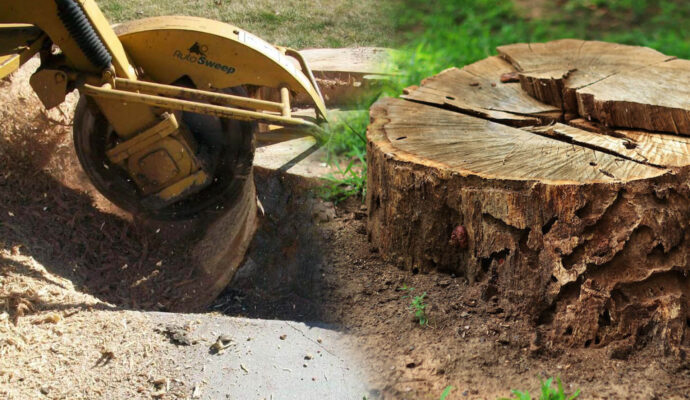 Stump Grinding & Removal Affordable-Pro Tree Trimming & Removal Team of Lake Worth