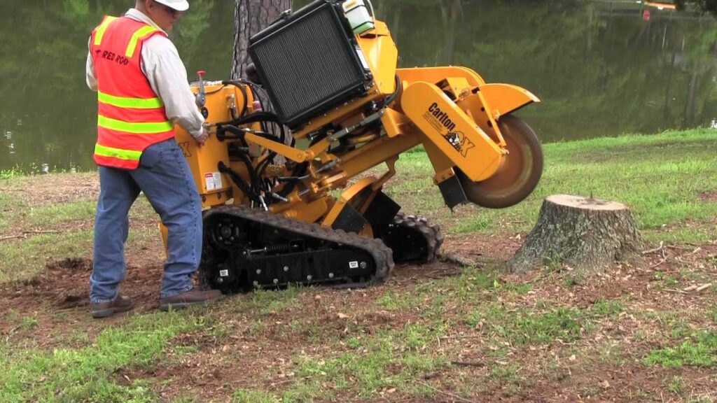 Stump Grinding & Removal Lake Worth-Pro Tree Trimming & Removal Team of Lake Worth