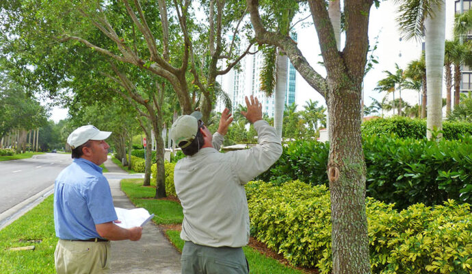 Arborist Consultations-Pros-Pro Tree Trimming & Removal Team of Lake Worth