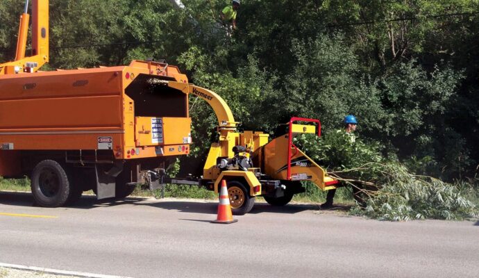 Commercial Tree Services-Pros-Pro Tree Trimming & Removal Team of Lake Worth