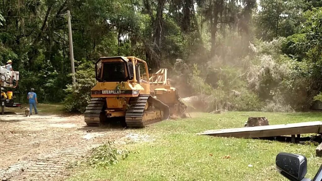 Land Clearing Experts-Pro Tree Trimming & Removal Team of Lake Worth
