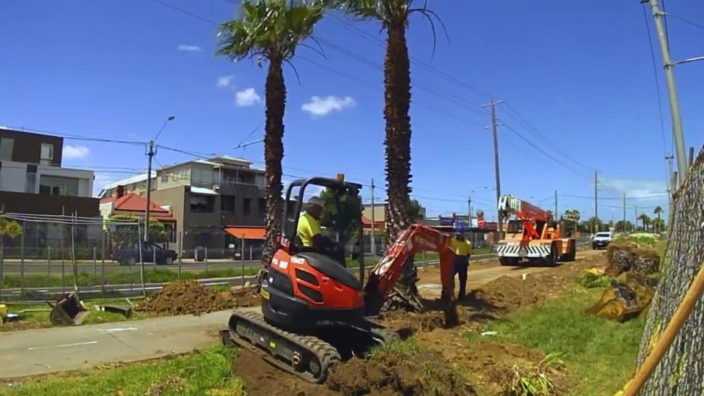 Palm Tree Removal-Pros-Pro Tree Trimming & Removal Team of Lake Worth