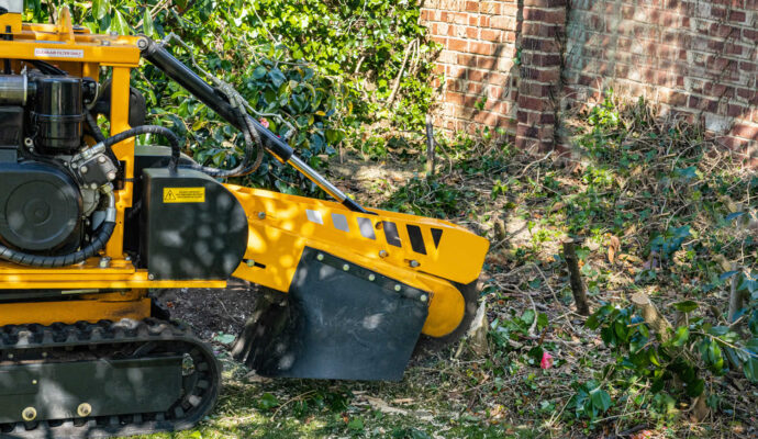 Stump Grinding-Pros-Pro Tree Trimming & Removal Team of Lake Worth