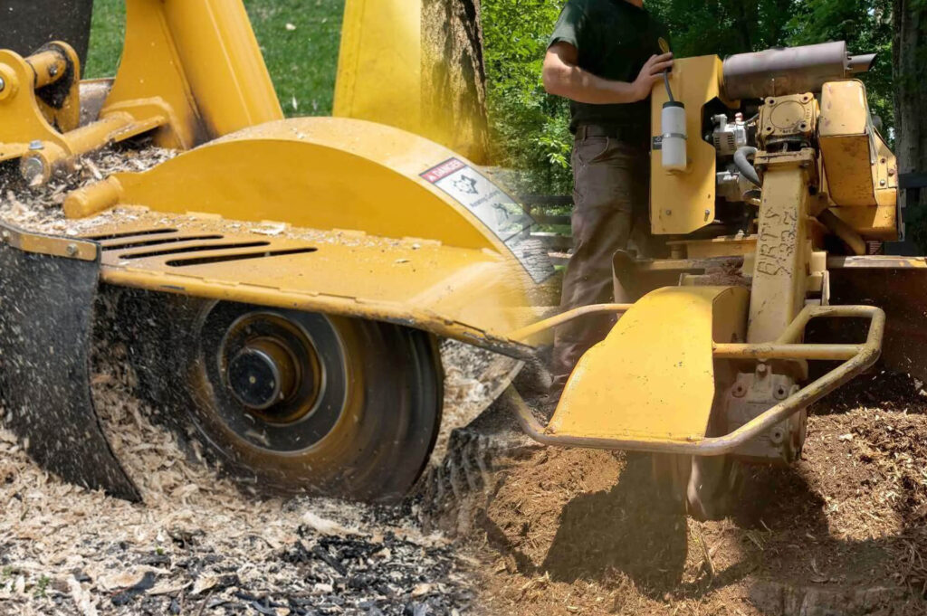 Stump Grinding & Removal Experts-Pro Tree Trimming & Removal Team of Lake Worth