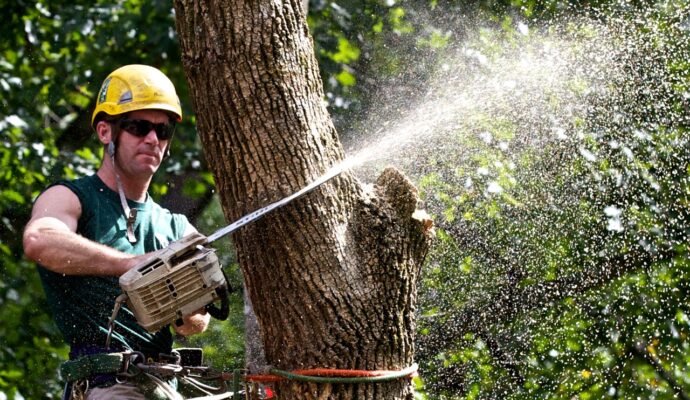 Tree Trimming-Pros-Pro Tree Trimming & Removal Team of Lake Worth